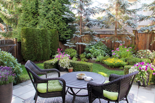 Beautifully,Landscaped,Small,Canadian,Garden,In,Summer.,Blue,Spruces,,Hosta,